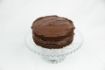 Chocolate Sponge Cake